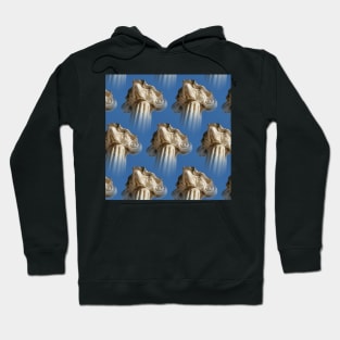 repeating design of many iconic column detail Hoodie